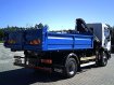 DAF LF 55.220 4X2 Hákový nosič kontajnerov s hydraulickú rukú