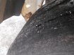VOLVO FM 12 400 6X2 + Príves na prepravu potravin - múky